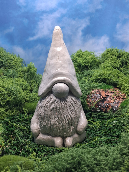 Ohm Gnome